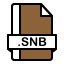 snb Image